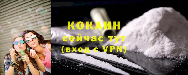 дживик Горнозаводск