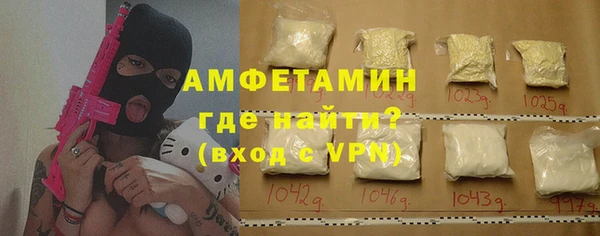 хмурый Гусь-Хрустальный