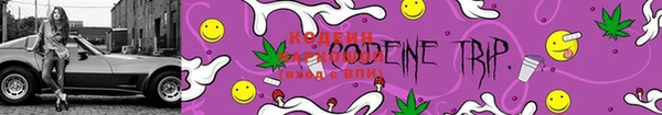 прущие грибы Горняк