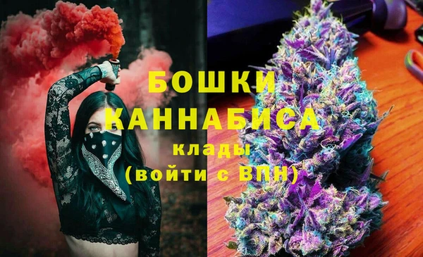 прущие грибы Горняк