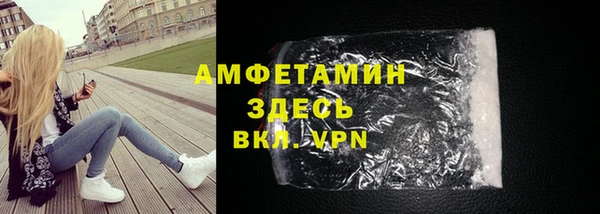 прущие грибы Горняк