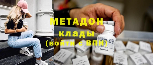 прущие грибы Горняк