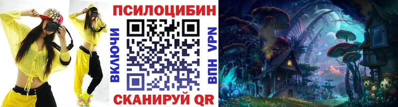 даркнет какой сайт  omg tor  Братск  Псилоцибиновые грибы Psilocybine cubensis 